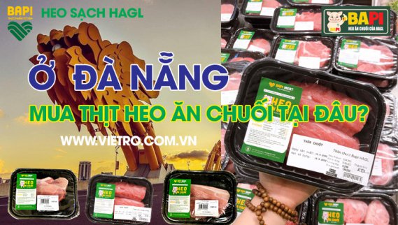 Ở Đà Nẵng mua thịt heo ăn chuối tại đâu?