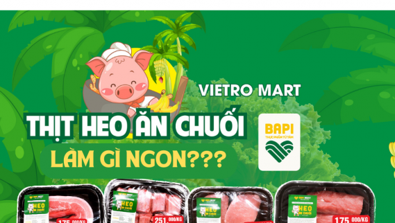 Lựa chọn thịt heo ngày tết - Chọn heo ăn chuối tại Viettronimex Đà Nẵng