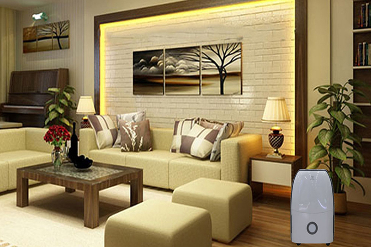 Thiết kế Máy hút ẩm Electrolux EDH12SDAW