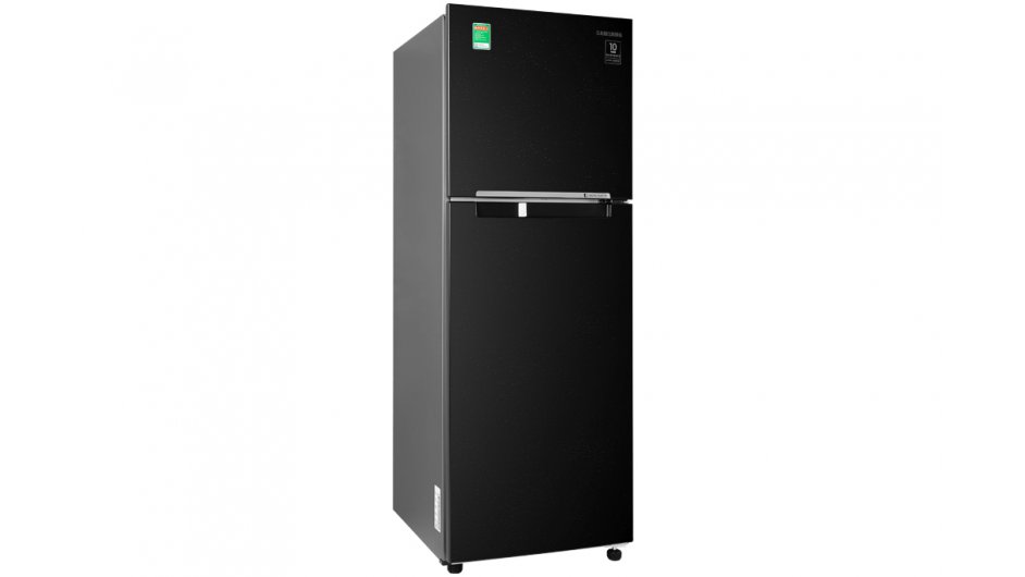 Tủ Lạnh Samsung Inverter 236 lít RT22M4032BU